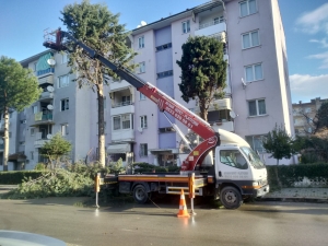 10 Şubat 2021 1050 konutları/ Osmangazi, Ağaç budama çalışması